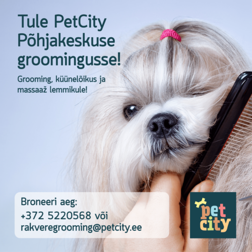 Põhjakeskus PetCity grooming