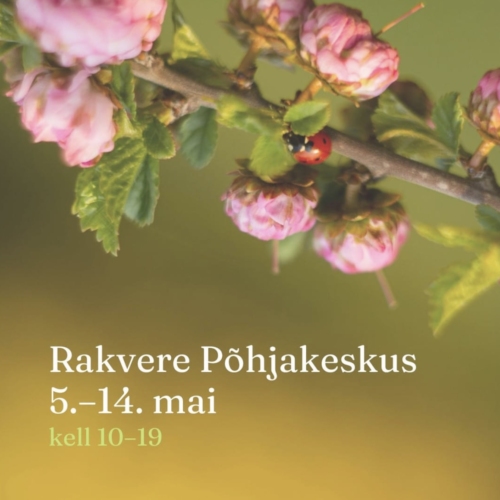 juhani puukool
